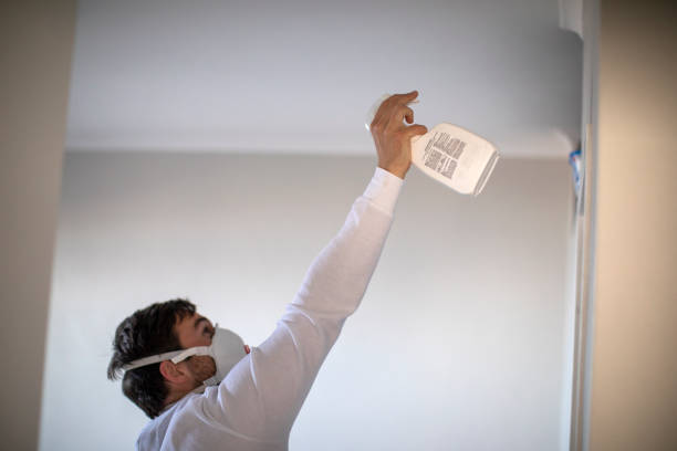 Best Fast Mold Removal  in Springville, AL