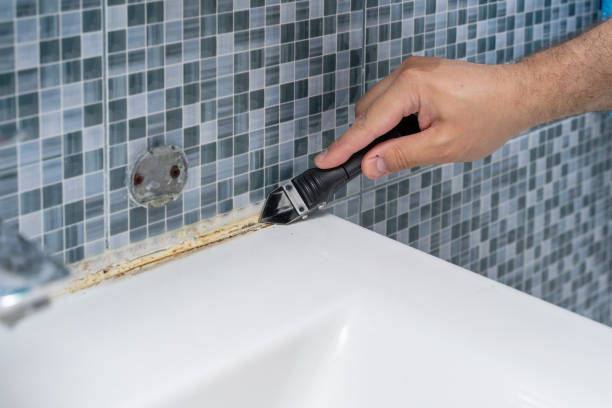 Best Professional Mold Removal  in Springville, AL